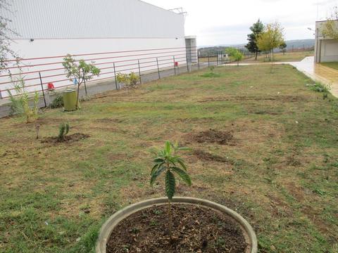 Vista geral do espaço da horta